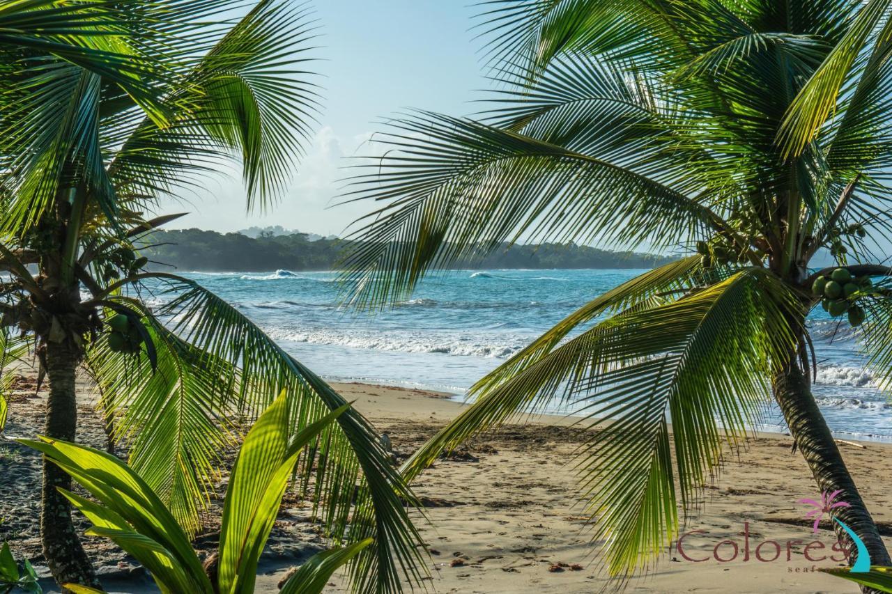 Colores Seafront Bed and Breakfast Manzanillo  Eksteriør billede